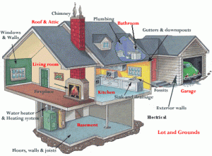 home_cutaway